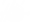 White Logo